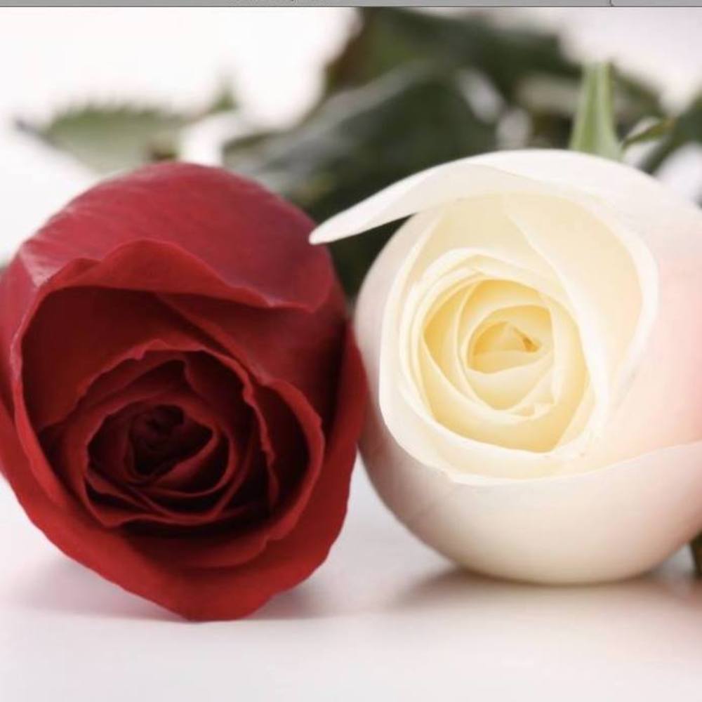 Meet your Posher, Meral